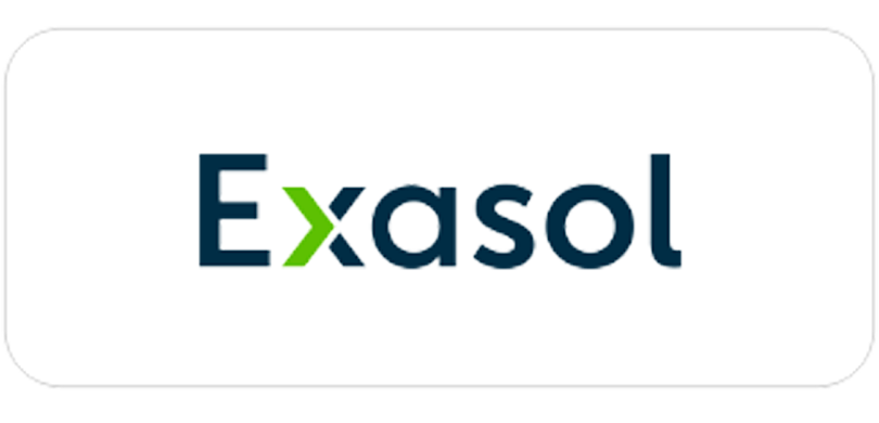 Exasol consulting partner