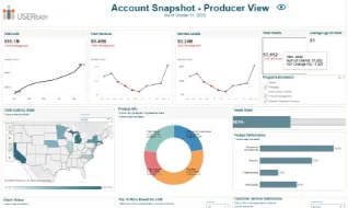 Account Snapshot