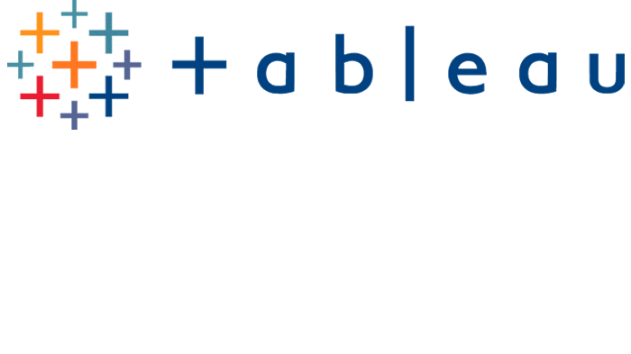 Tableau Partner Logo