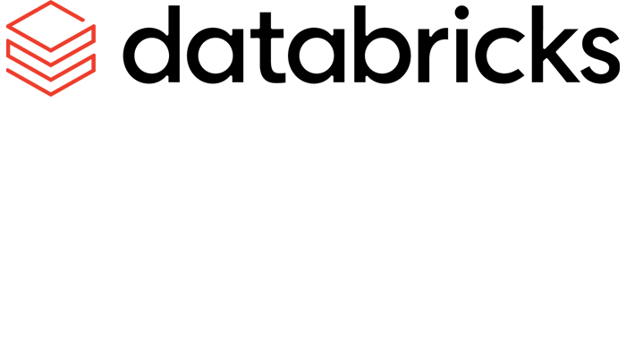 DataBricks Partner Logo