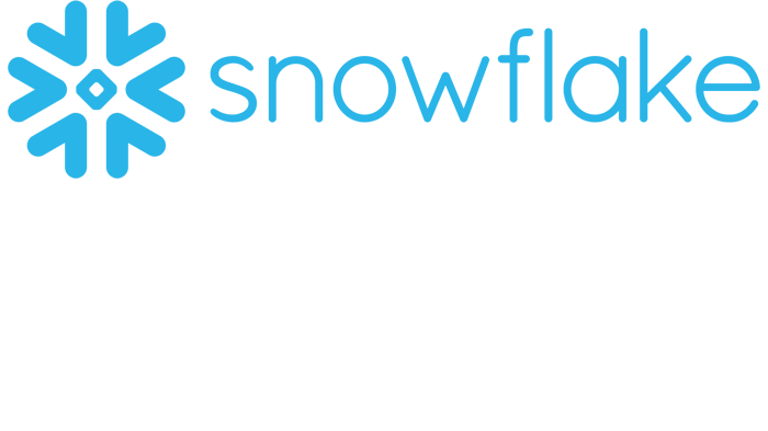 Snowflake Partner Logo